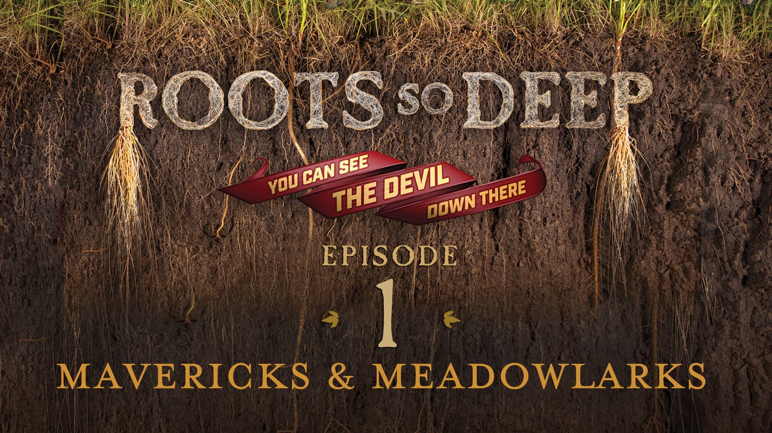 Deep Roots Tv Roots So Deep Collection