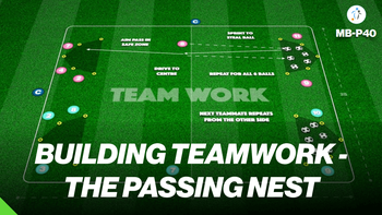 The Passing Nest | Mini Ballers P40