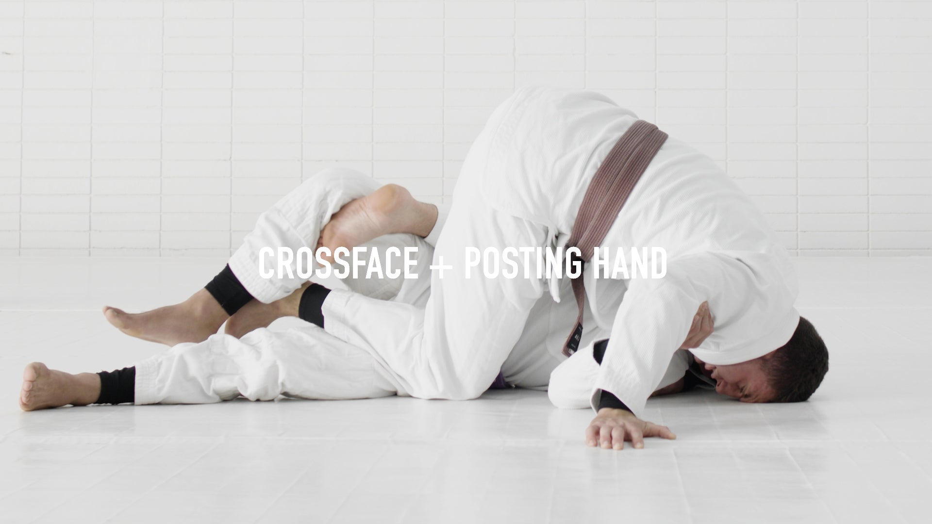Scrossface Passing the Half Guard