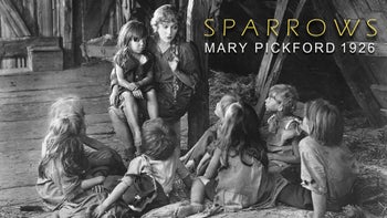 Sparrows HD Screener with 5.1 audio