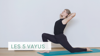 Explorer les 5 Vayus