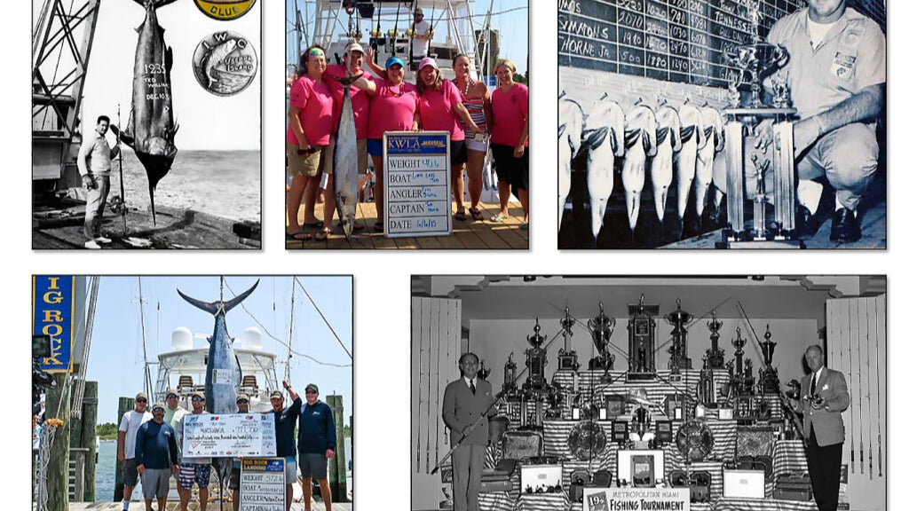 Chapter 10: The Competitive Edge