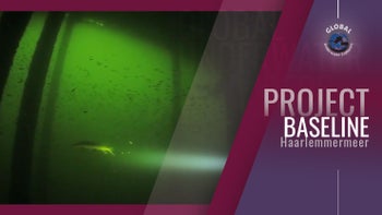 Project Baseline: Haarlemmermeer