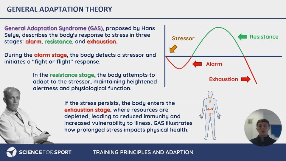 Program Adaptation Training Response and Adaptation