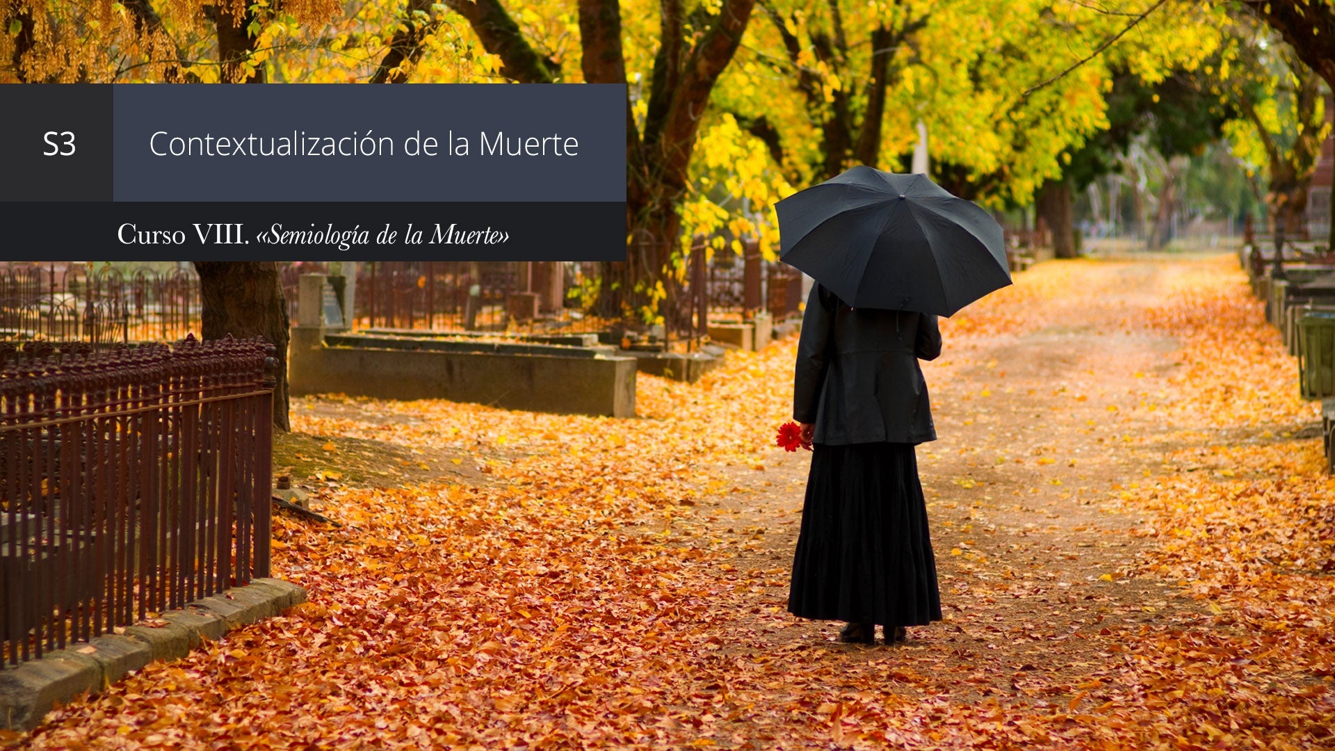 Curso VIII «Semiología de la Muerte» | Cursos en Línea de Semiología de ...