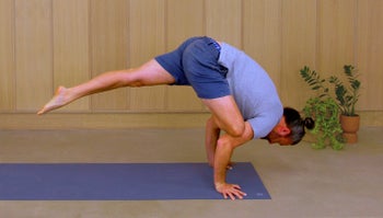 Foundations Of Flying Pigeon