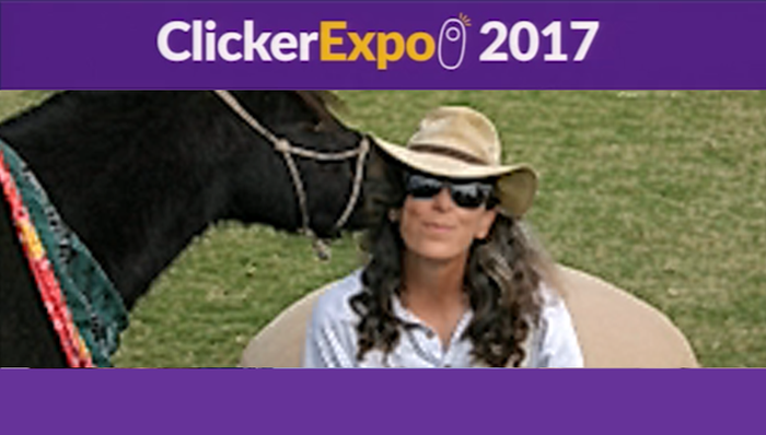 From Fear to Near: Behaviors that Change Horse Husbandry