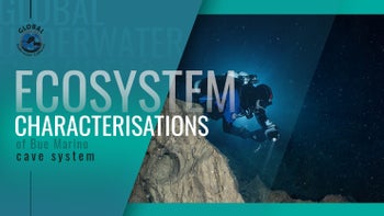 Ecosystem Characteristics of Bue Marino Cave System