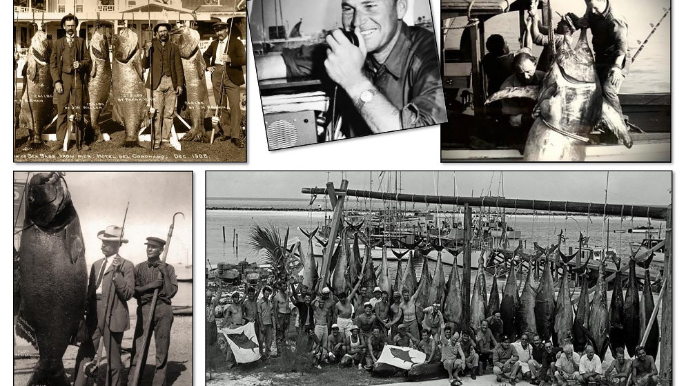 Chapter 3: In Search of Giants