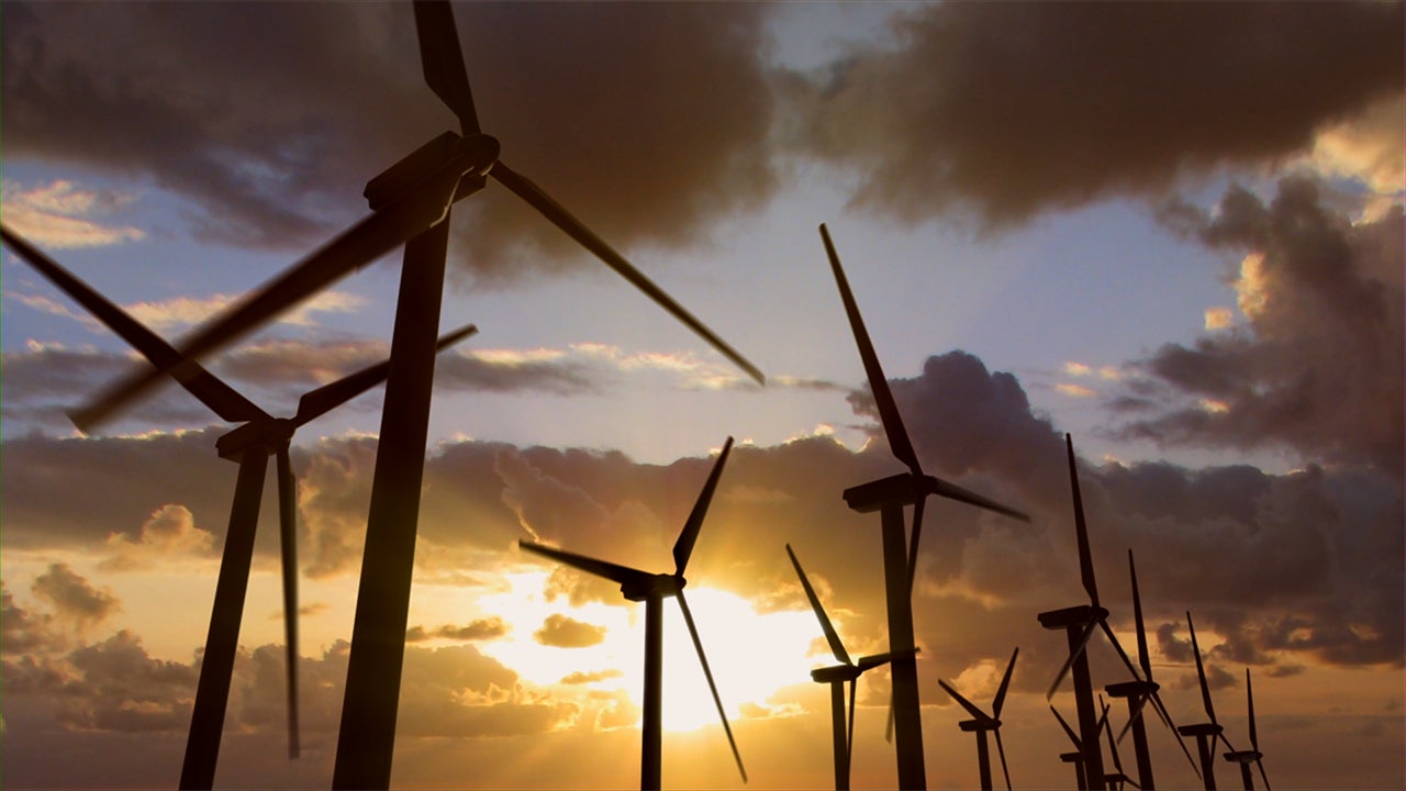 Protect What We Love