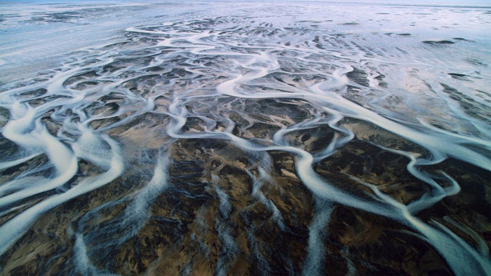 Moving Art: Patterns in Nature