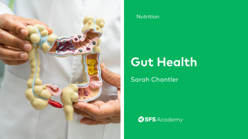 Gut Health