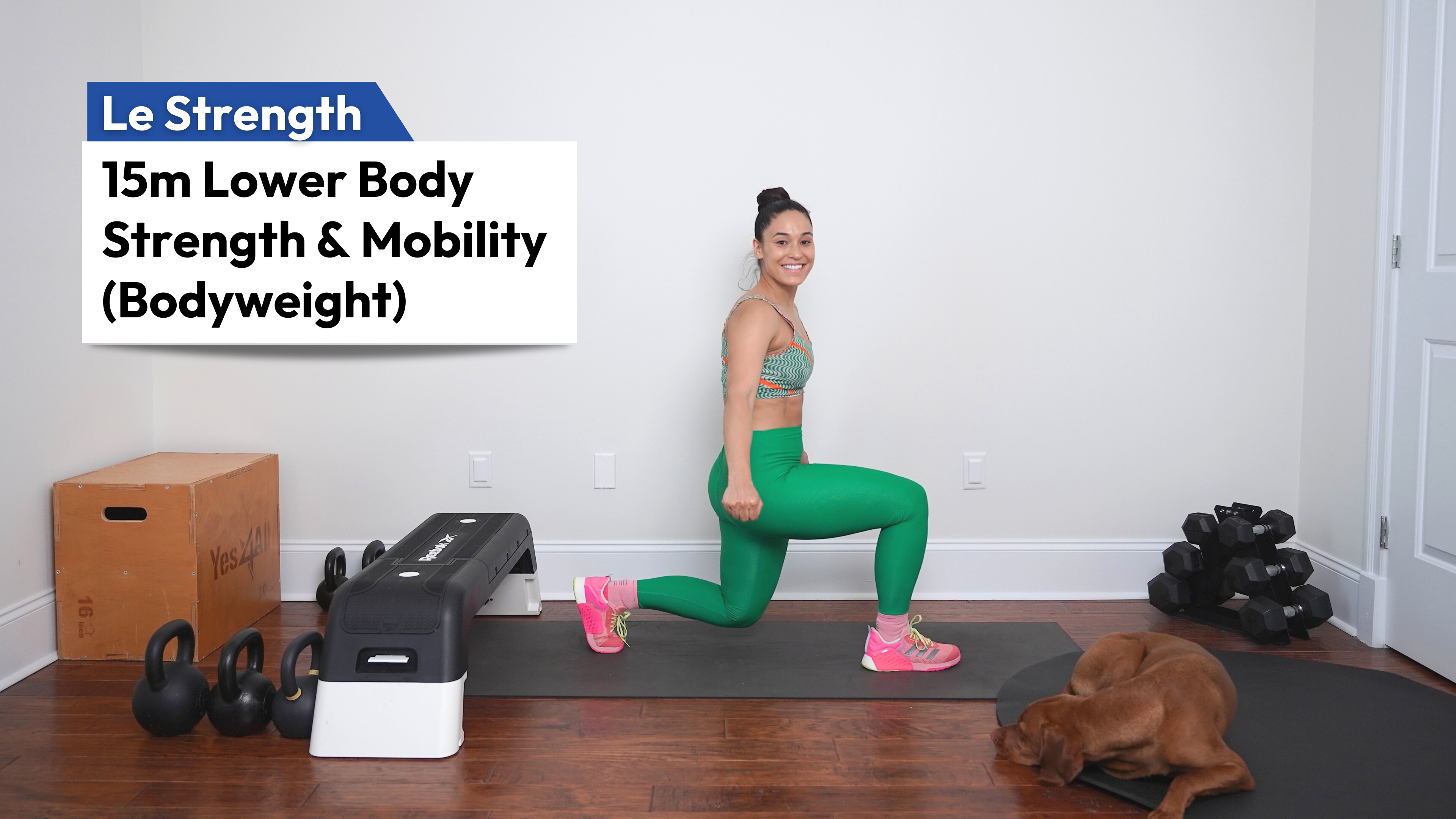 15m Lower Body Strength & Mobility (Bodyweight)