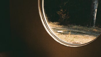 Soft Business Circle | Release, Resistance, Perseverance with Ash