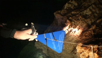WKPP: Push for Connection - Cave Diving in Florida