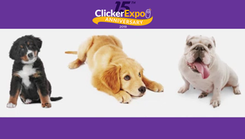 How to Win Friends & Influence Puppies: Effective Socialization (2018)