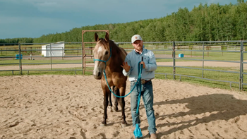 Round Pen on Lead Rope with Space Horse, Raven - Lesson 16 - Understanding Horse's Needs with Josh Nichol