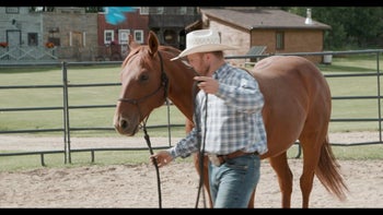 Round Pen on Lead Rope with Pressure Horse, Sid - Lesson 20 - Understanding Horse's Needs with Josh Nichol