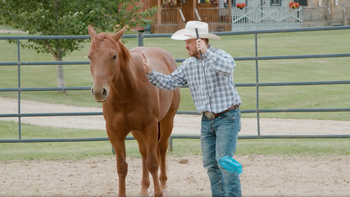 Round Pen Liberty with Pressure Horse, Sid - Lesson 19 - Understanding Horse's Needs with Josh Nichol
