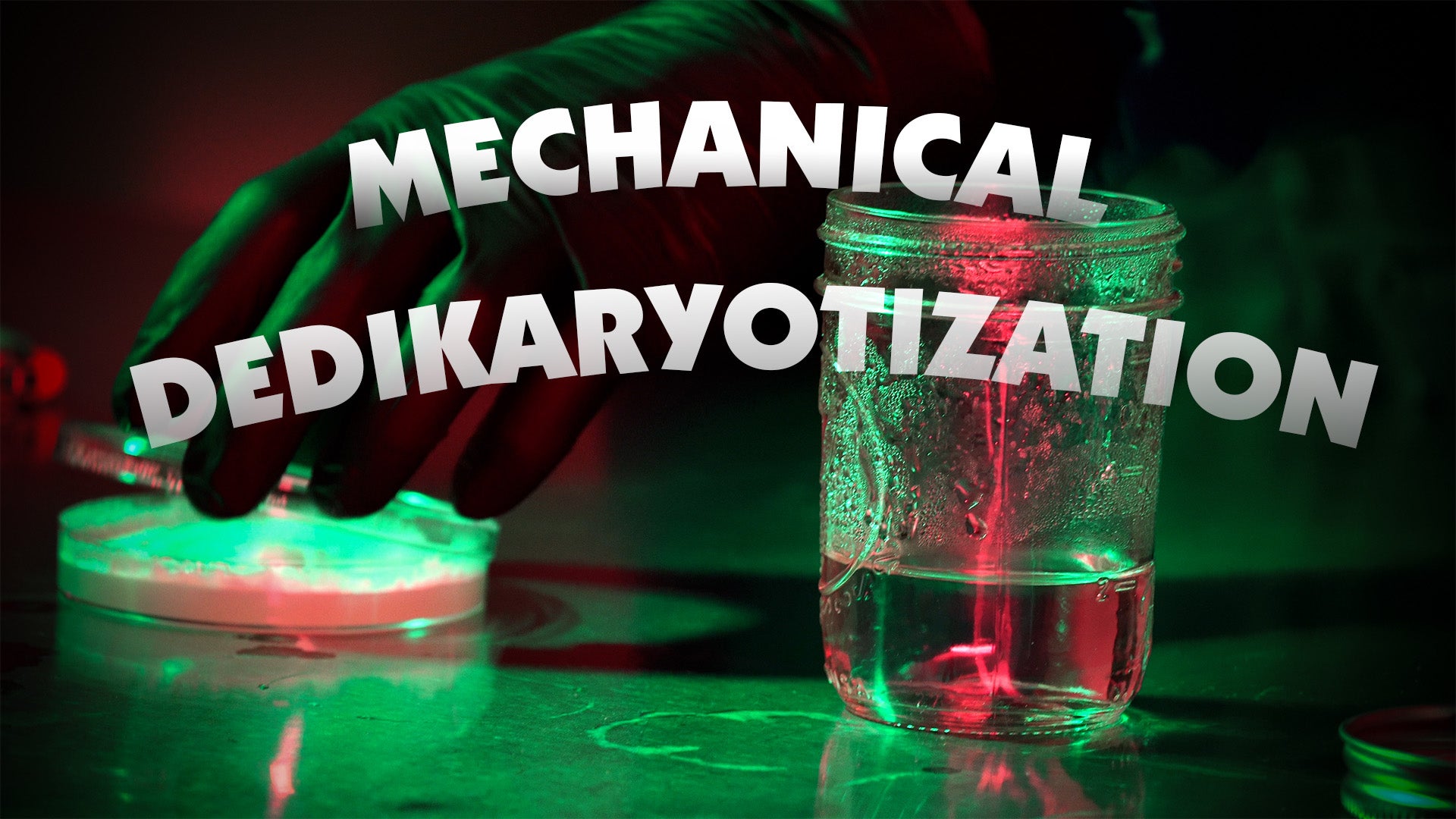 Mechanical Dedikaryotization