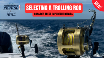 best reel for carp fishing 9 Best Budget Carp Reels Under 100 in 2026