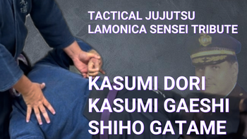 Kasumi Gaeshi and Punch protection | Sadohana Online & The Jutsu Joint