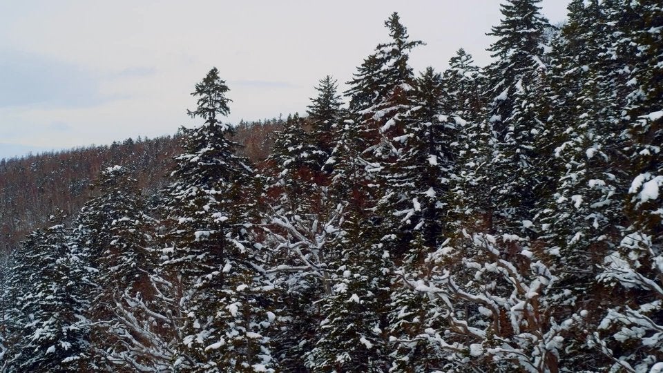 Hokkaido Nature Loops