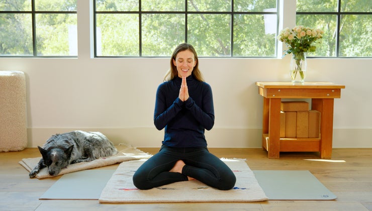 Bija Practice | Digestion