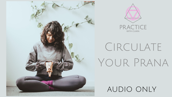 Circulate Your Prana (93-min) Vinyasa