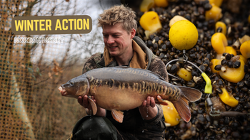 Winter Action, Norton Disney | Full Film