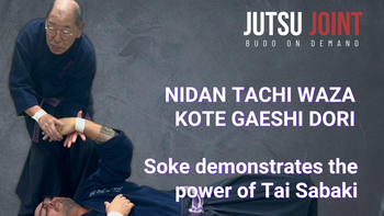 Kote Gaeshi Nidan With Soke (Tachi waza)