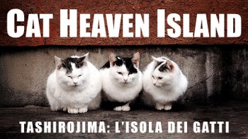 Cat Heaven Island - Tashirojima. L'isola dei gatti