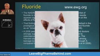 Documentary - Thyroid - Part 3 2024