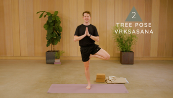 Stand Up - Vrksasana | Tree