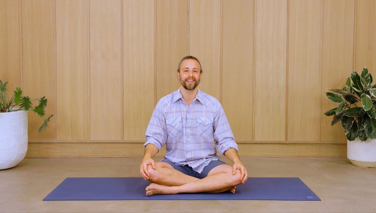 8 Limbs Of Yoga Overview + Meditation