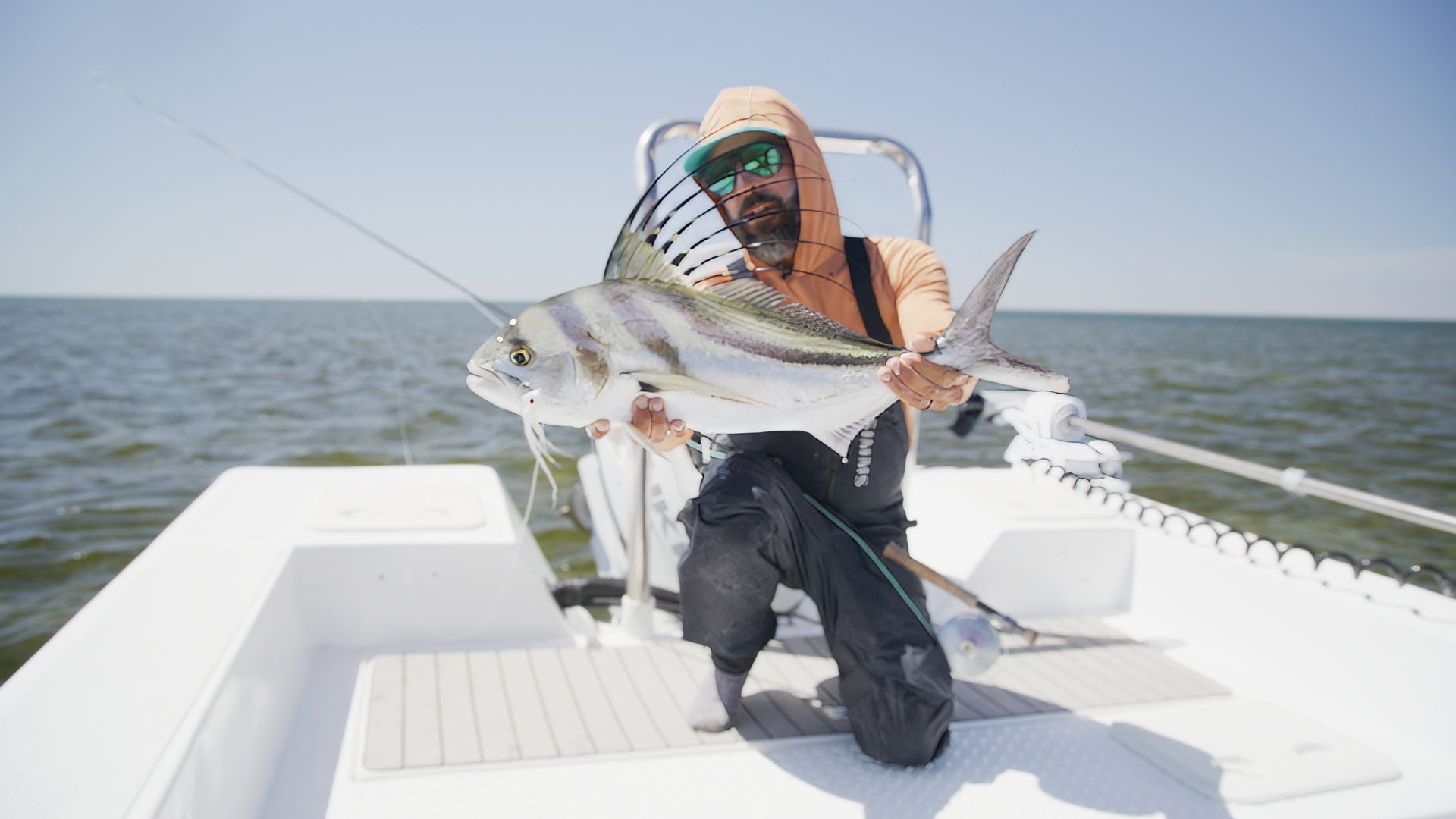 Roosterfish