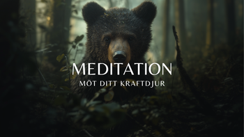 Meditation - Möt Ditt Kraftdjur