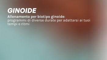 Ginoide