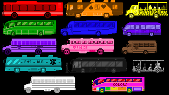 Bus Colors Exclusive