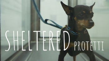 Sheltered - Protetti