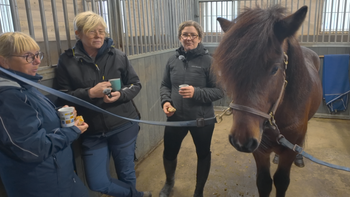 Skapa ett hingstbolag