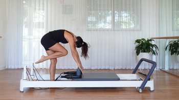 Reformer Flow With Sam