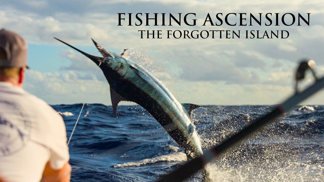 Bad Company Fishing Adventures World Tour