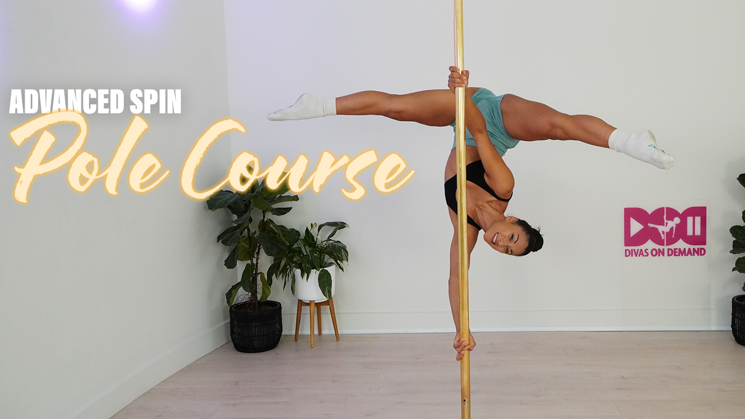 Advanced Spin Pole Course