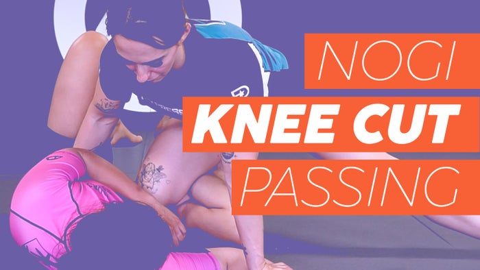 Nogi Knee Cut Passing