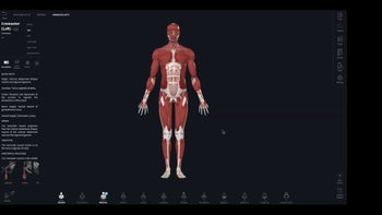 Tyson Anatomy May 30