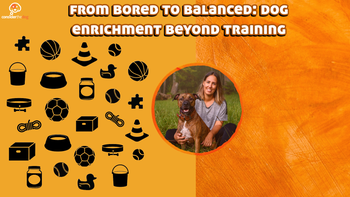 Balanced Dog Training: Master Techniques for Success