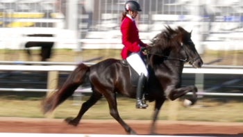 Tävlingsskolan Del 1: Tölt T1