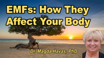 Lecture 31 - Dr. Magda Havas, PhD. - How the Body Reacts to Electromagnetic Frequencies