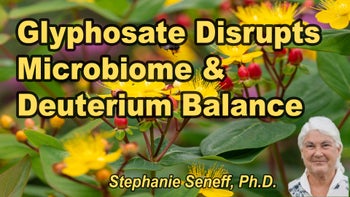 Lecture 96 - Stephanie Seneff, Ph.D. - Glyphosate Disrupts Deuterium Homeostasis: A Central Role for the Microbiome